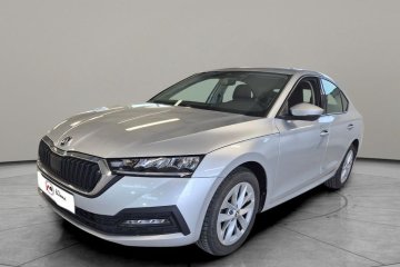 Ambition silver Ambition silver, salon PL, FV 23%